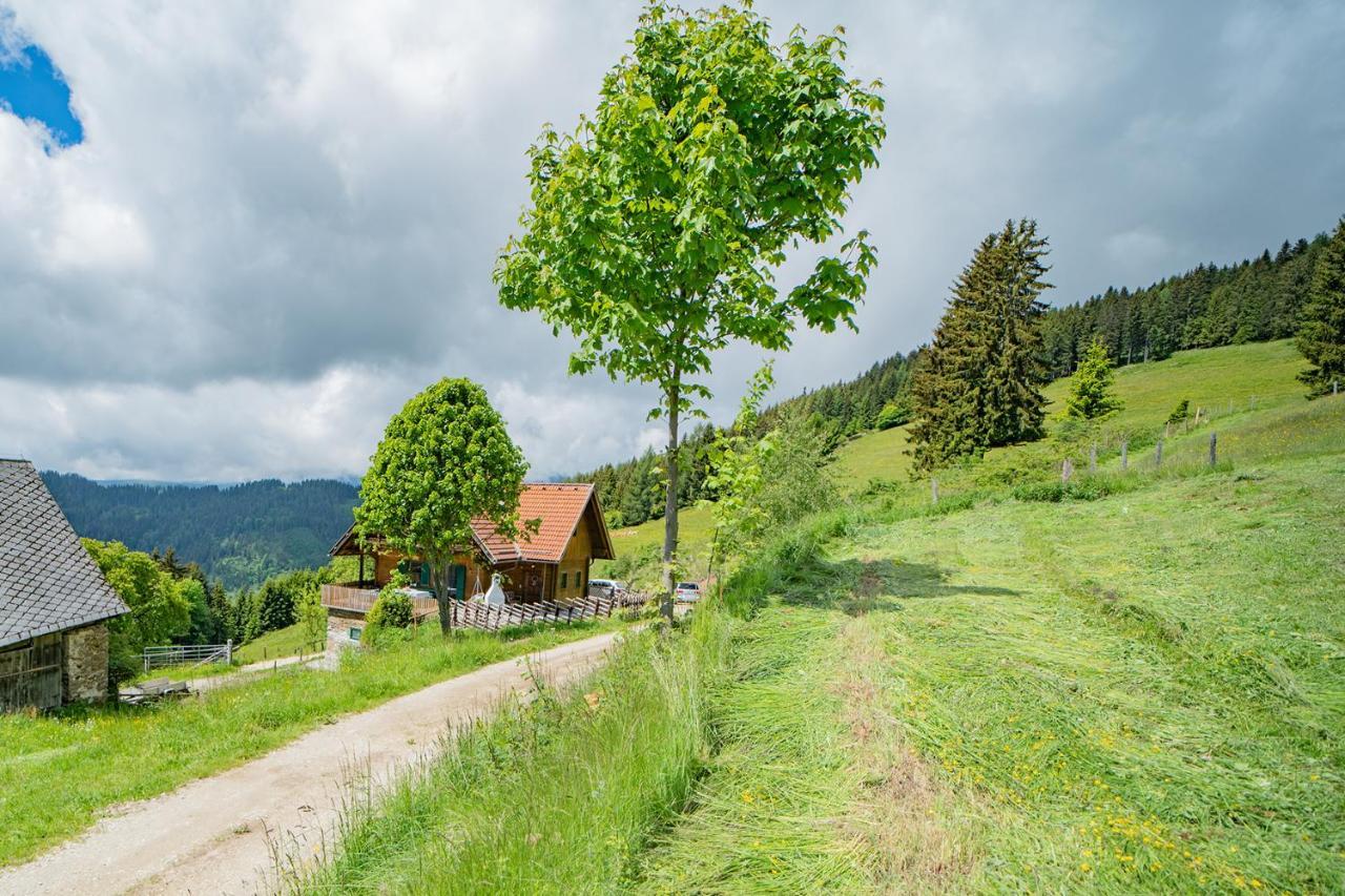 Vila Kogljahrerhuette Wolfsberg Exteriér fotografie